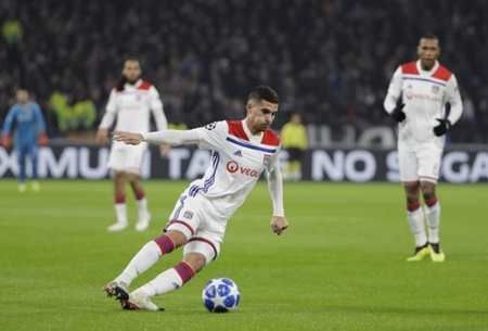 充足的自然 充足的自然